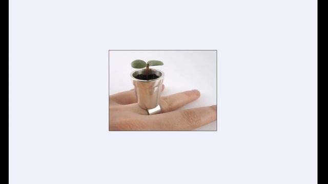 необычные кольца/unusual ring смотреть онлайн