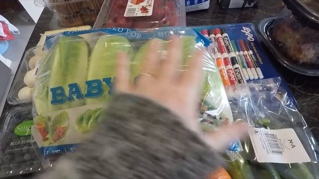 Grocery Haul to Feed a Tribe! Costco, Outlet Store and Aldi!!! $800 смотреть онлайн