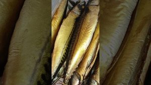 Горячее копчение горбуши и скумбрии