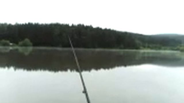 на смольном пруду попытка поймать карпа.