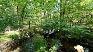 Офф-роуд или бездорожье по Американски!!!// Toyota vs Jeep OFF-ROAD adventure!!!