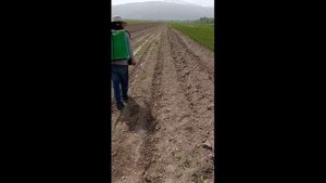 Зыянкечтерге ИСО колдонуу | Применение ИСО против вредителей