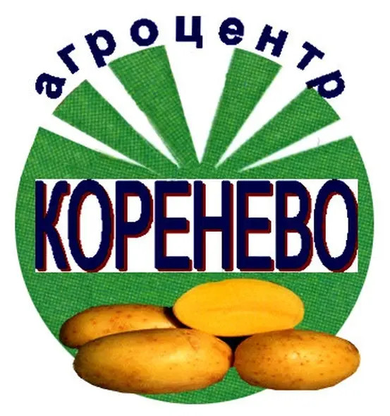 Вот для чего заказываю семена картофеля
