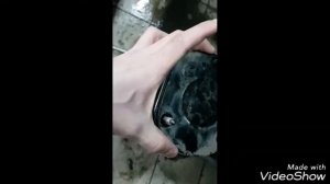 Стук в подвеске мерседес w251, r-class, r350 продолжение.