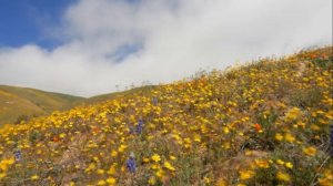 Видео-урок №1 Основные правила видеомонтажа