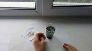 Получение сульфата железа ( железный купорос)