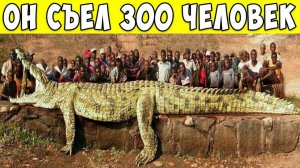 8 Самых Опасных Животных в Истории.