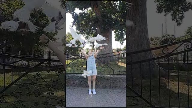 Голуби и любовь