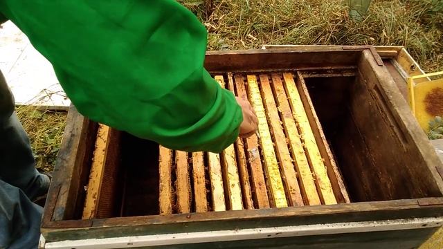 Сборка гнезд на зиму. Подготовка пчел к зимовке на воле. Маленькие хитрости смотреть онлайн