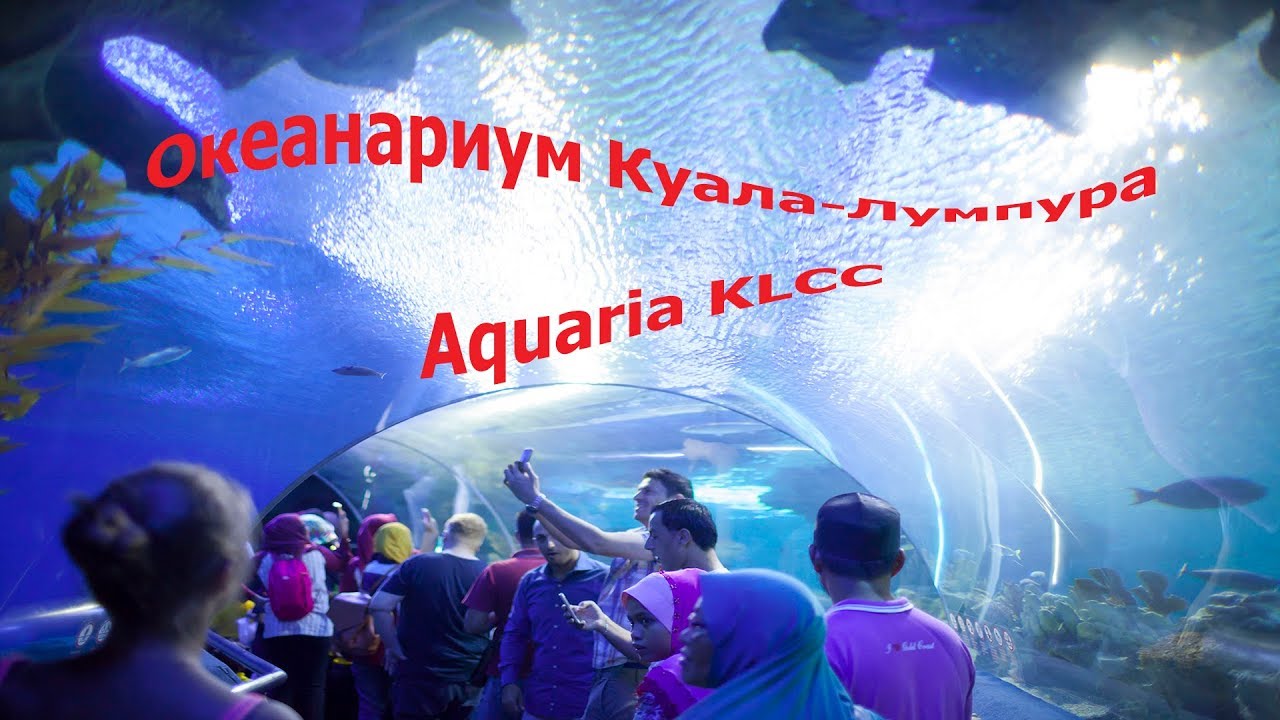 Аквариум в Куала-Лумпур (Aquaria KLCC)