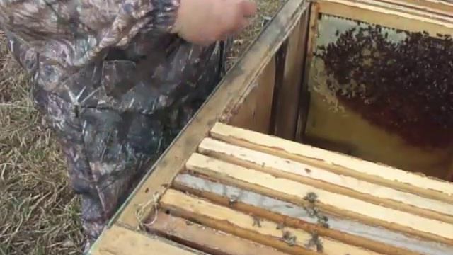 Весенняя ревизия семья на 7 рамках смотреть онлайн