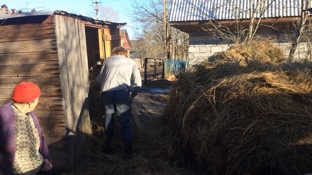 грузим сено в сарай
