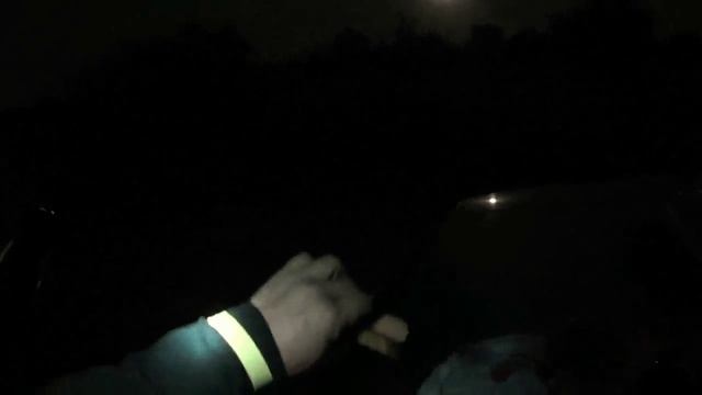 Толстолоб не ловится, не растет кокос. Поломки, какой-то рок. смотреть онлайн