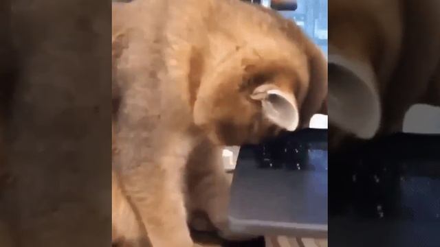 Рабочий день закончен!