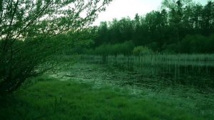 Интервью и матрица здоровья - полная регенирация всего тела