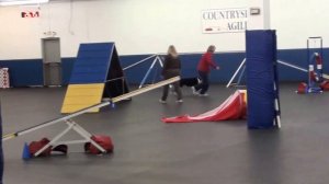 Grand Oakes Bran's 1st Agility trial Nov  A Std