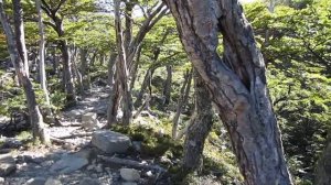 Torres del Paine, Chile (Национальный парк "Торрес дель Пайне", Чили)