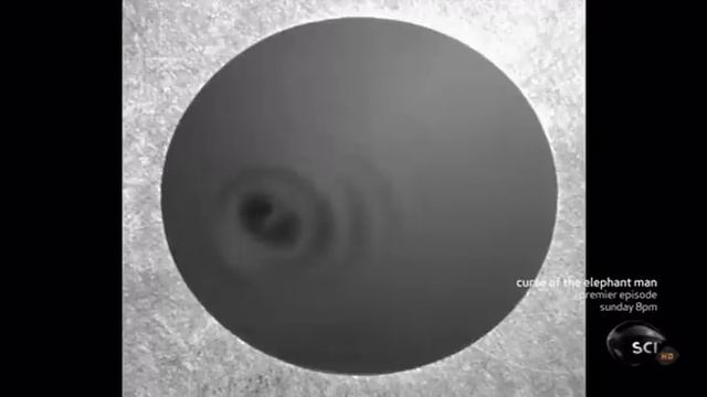 Yves Couder . Explains Wave/Particle Duality via Silicon Droplets [Through the Wormhole] смотреть онлайн