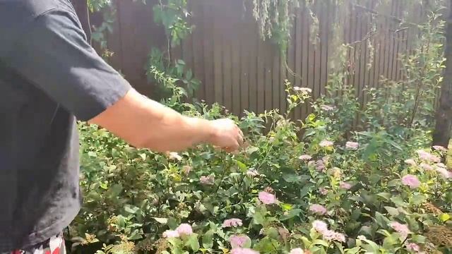 Аккумуляторный электрический кусторез HUTER GET-3.6 смотреть онлайн