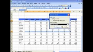 Microsoft Excel 2003: Senaryoları Kullanmak