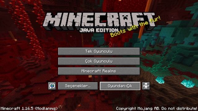 XRAY NASIL AÇILIR MİNECRAFT 1.16.5 - MİNECRAFT смотреть онлайн