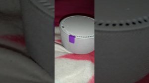 Как подключить Яндекс Станцию мини или макс?