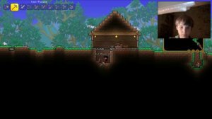 Играем в Terraria|Подвал в доме. #4