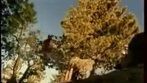 Спрайт - Реклама (2000 год)