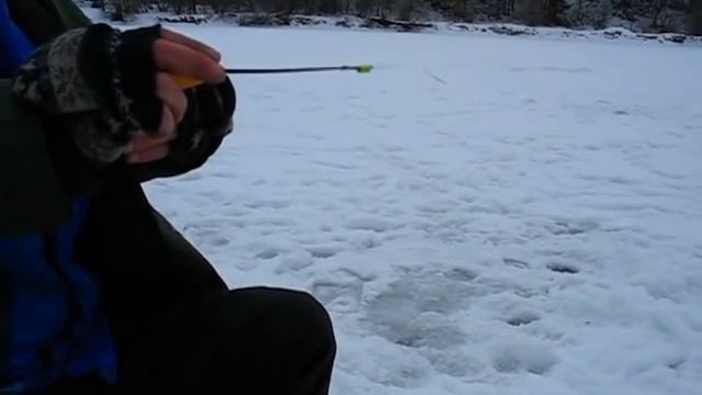 Ловля окуня на безмотылку в Бережанах. смотреть онлайн