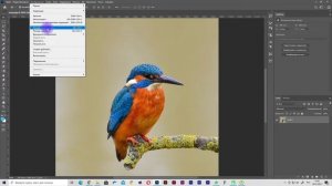 Как уменьшить картинку в фотошопе
