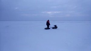 Норка 380 mini .Сестрик . Корюшка 13.01.2019