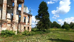 Vlog 2 Кострома 2021 // Конезавод «Медведки» // Природа Костромской губернии