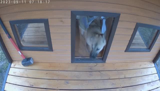 Шторками для будки собаки. купить силиконовую шторку для конуры смотреть онлайн