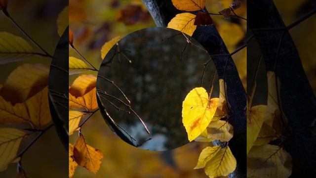 Господь,душа обнажена(музыка и слова Кузнецова Вадима исполняет автор) смотреть онлайн