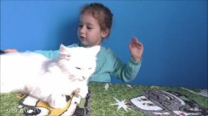 ?БЕЛЫЙ КОТИК МУРИК  новый питомец АЛИСЫ и КОШЕЧКА МУРКА. Видео про котов смешное смотреть онлайн