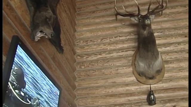 Цаган-Аман "ЭКО-ПОРТ" смотреть онлайн