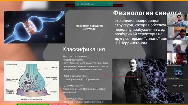 Нервы и синапс Flipped lecture 8 поток смотреть онлайн