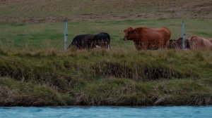 Звуки природы. Шум водопада.