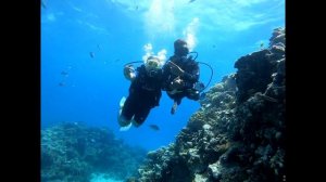 Плавание с аквалангом: Впечатления, которые просто не с чем сравнить