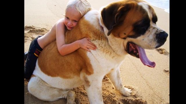 С Днем объятий!!!  ❤️?❤️?❤️Музыкальная открытка. ❤️❤️❤️С праздником друзья!!!