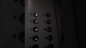 Новый большой лифт скрипит дверью