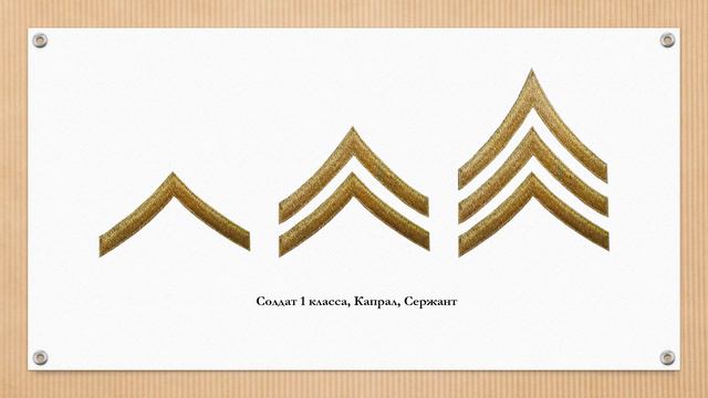 Знаки различия армии Суринама