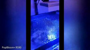 PopBloom светодиодный светильник для аквариума.