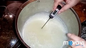 Рикотта или мягкий сыр из сыворотки.