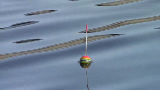 Рыбалка на Торце, ловля речного карася. смотреть онлайн