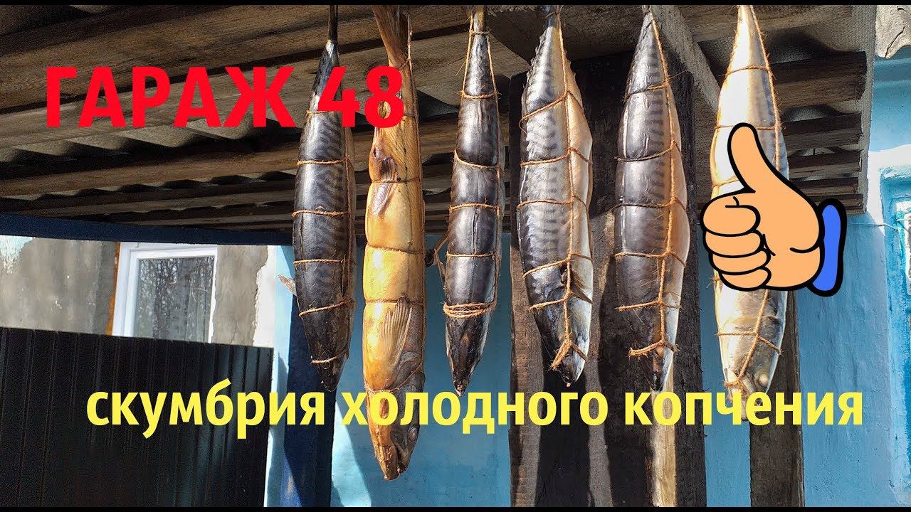 Скумбрия холодного копчения/ Домашняя каптильня