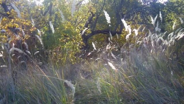 Влог как у меня дела недавно у меня был ремонт велосипеда смотреть онлайн