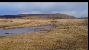 (Река Серта 3 мая 2023г). Выпуск от 12 мая 2023г