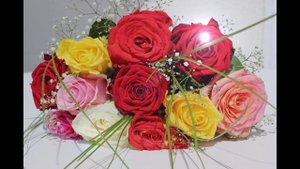 Говорящая открытка с ДНЕМ РОЖДЕНИЯ!