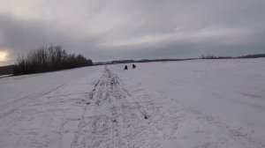 Sled Racing 2 (900 Arctic Cat, ZR 700, Big Bore M8, Skidoo 800)